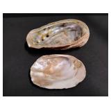 Natural Abalone Shell Collection