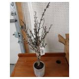 Decorative Artificial Branch in Concrete Pot 24\" tall - Retail: $24