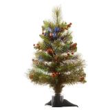 National Tree Company 24\" Pre-lit Artificial Christmas Tree LED Fiber Optic Crestwood Spruce - Retail: $192