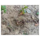2 x Log Chains 12+feet & 1 x Small Chain- CP1BS