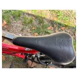 Next Gauntlet Bicycle- CP2
