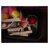 ESSENTIAL OILS/ MISCELLANEOUS TOYS- FR