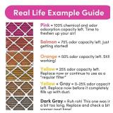 Colorfil 16x20x1 Air Filter (2-Pack) | Made in the USA | Color Changing | Remove Cat and Dog Odor | MERV 8 for Pet Hair Dander and Dust | 15.5\"x19.5\"x0.75\" Exact Size