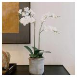 Faux White Orchid Plant, Premium Artificial Indoor Flower Display Stands 24, Beautiful Sculptural Blooms That Lasts Forever, Grey Planter Pot Included - Retail: $100