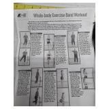 ACE Whole-body Exercise Band Set with Instruction Guide