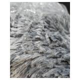 Area Rugs 9x12 Living Room, Large Fluffy Area Rugs for Bedroom, Soft Carpet Shag Kids Room Rug, Non-Slip Fuzzy Rugs Indoor (Light Grey, 9ft x 12ft)