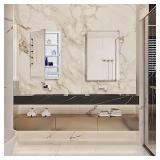 IDYLLOR Plastic Medicine Mirror Cabinet for Bathroom 16 x 26 inch, Surface and Recessed Mount