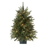 National Tree Company Artificial Christmas Tree For Entrances | Includes White Lights and Pot | Everyday Collections - 3 ft