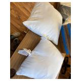 Utopia Bedding Throw Pillow Insert (2 Pack, White) - 20x20 Inches
