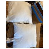 Utopia Bedding Throw Pillow Insert (2 Pack, White) - 20x20 Inches