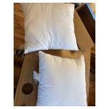 Utopia Bedding Throw Pillow Insert (2 Pack, White) - 20x20 Inches