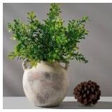 Porcer Ceramic Vase, 5.8 Inch