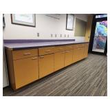 Commercial Grade Storage Cabinet Set with Purple Countertop