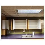 Complete Commercial Laboratory Cabinet Set