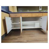 Complete Commercial Laboratory Cabinet Set