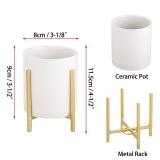 Congrats Grad Party Supplies Includes 2 Different Size Plate and Napkin - Gold and Black