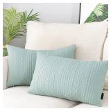 Booque Valley Rectangular Throw Pillow Covers, Pack of 2 Super Soft Elegant Modern Knit Lumber Spring Light Green Cushions, Oblong Pillowcases for Sofa Bed Car Chair, 12 x 20 inch (Seafoam)