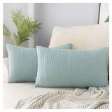 Booque Valley Rectangular Throw Pillow Covers, Pack of 2 Super Soft Elegant Modern Knit Lumber Spring Light Green Cushions, Oblong Pillowcases for Sofa Bed Car Chair, 12 x 20 inch (Seafoam)