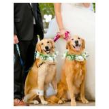 Dog Flower Collar, Dog Wedding Collar and Pearls Leash Set Adjustable Wreath Wedding Outfit Flower Collar Pet Photo Prop (Medium)