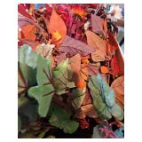 Miscellaneous fall flowers