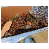 Box of miscellaneous Pine cones, two extra large