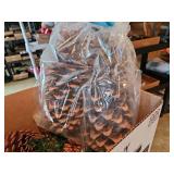 Box of miscellaneous Pine cones, two extra large
