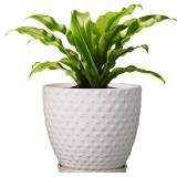 G EPGardening 8 Inch Plant Pot for Indoor Outdoor Plants Round Ceramic Planter Pot with Drainage Hole and Saucer Modern Large Flower Pot White