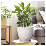 G EPGardening 8 Inch Plant Pot for Indoor Outdoor Plants Round Ceramic Planter Pot with Drainage Hole and Saucer Modern Large Flower Pot White