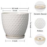 G EPGardening 8 Inch Plant Pot for Indoor Outdoor Plants Round Ceramic Planter Pot with Drainage Hole and Saucer Modern Large Flower Pot White