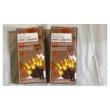 50-Count Fall Harvest Mini Lights Set - Retail: $12