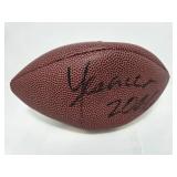 Signed White Panel Football Multiple Hall of Famers Including Deacon Jones, Bobby Bell, Mel Renfro, Ted Hendricks, Ron Mix, and More