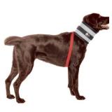 BiteNot Collar, 6 W x 27" L - Retail: $55"