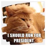 Pet Cat/Dog Blonde Wig with Tie - Iconic and Playful Toupee Hat, Cosplay Dress Up Clothing Costume Halloween Accessories (RedTie, L) - Retail: $17
