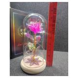 Galaxy Glass Rose Forever Preserved Flower, Eternal Rose in Glass Dome, Pink