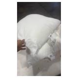 22x22 Utopia Bedding Pillows 2ct - Retail: $0