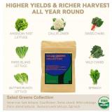 inbloom Salad Green Seed Pod Kit for AeroGarden, Ahopegarden, GARDENCUBE, MUFGA, 7 Pods (350+ Seeds with American Fast/Paris Island/Buttercrunch Lettuce, Swiss Chard, Spinach, Cauliflower, Cabbage)