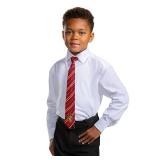 Disguise Harry Potter Costume Necktie, Official Hogwarts Wizarding World Kids Costume Breakaway Child Size Tie, Brown & Gold