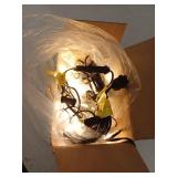 Outdoor String Lights
