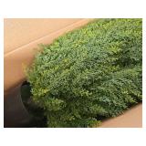 $116 4ft Artificial Cedar Topiary Trees, Set of 2 Faux Plants
