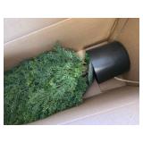$116 4ft Artificial Cedar Topiary Trees, Set of 2 Faux Plants