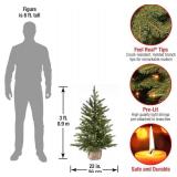 $75 National Tree Co. Pre-Lit Artificial Mini Christmas Tree, 3 Feet