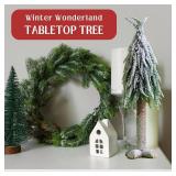 Lidy 20 Inch Unlit Alpine Downswept Mini Christmas Tree, Flocked