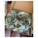 18" Christmas Wreath with Berries, Pine Cones, Eucalyptus Leaves