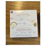 2 pack 30 lights warm white or multicolor LED dewdrop lights