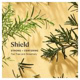 4pk Sprig by Kohler Tea Tree + Rosemary Bath Bomb, Hypoallergenic, Made with Natural Botanicals & Premium Skincare Ingredients (Shea Butter, Coconut Oil, & Kaolin Clay) to Purify and Center - Shield