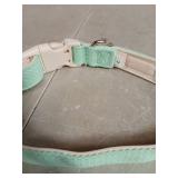 Plutus Pet Mint Green Dog Collar-Lg