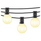 Beams 1W G40 Globe Bulb LED Weatherproof Indoor/Outdoor String Lights, 25 ft, Black
