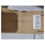 Beams 1W G40 Globe Bulb LED Weatherproof Indoor/Outdoor String Lights, 25 ft, Black