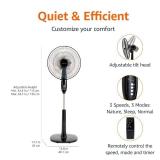 Amazon Basics 16\" Pedestal Fan, Floor Fan, Standing Fan for Bedroom, Living Room, Office, with 3 Speeds, 3 Modes, Timer, Dual-Layered Blades, Adjustable Height, Tilt Head, 60W, Black