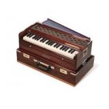 Bina musical instrument